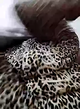 nayakaA7 online show from February 5, 2025, 6:59 pm