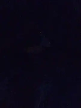 MrDickUdown24 7 online show from February 23, 2025, 6:39 am