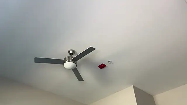 ElenaErickson online show from March 19, 2025, 8:32 pm