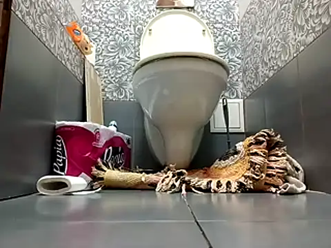 Snapshot of zsd_off chatting on November 8, 2025, 12:27 pm zsd off online show from November 8, 2025, 12:27 pm