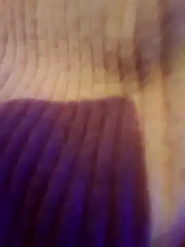 AsStraightAsARuler online show from December 3, 2025, 5:04 am