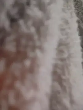 tata laima   online show from January 12, 2026, 2:55 pm