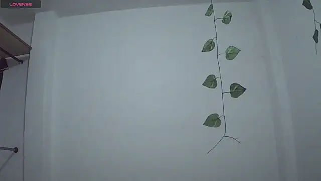 stephybrowm7 online show from October 28, 2025, 5:37 pm