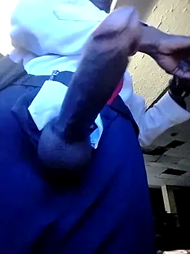 moro28vergon online show from April 16, 2026, 2:56 am