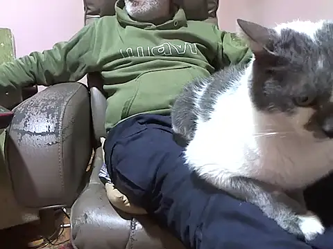 zormen355 online show from April 3, 2026, 5:22 pm