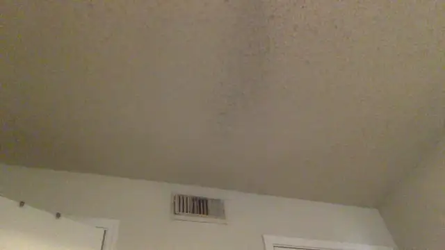 GForceSavage online show from February 25, 2026, 6:17 pm