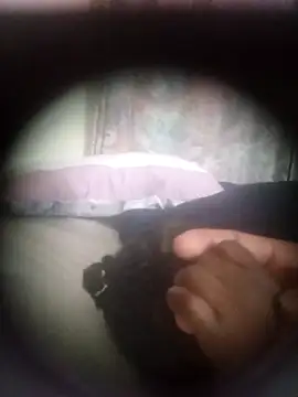 centzSexy online show from October 25, 2025, 12:51 am