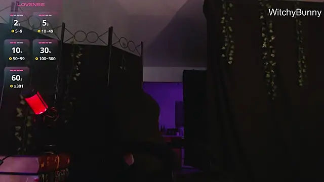 witchybunny online show from December 31, 2024, 10:58 am