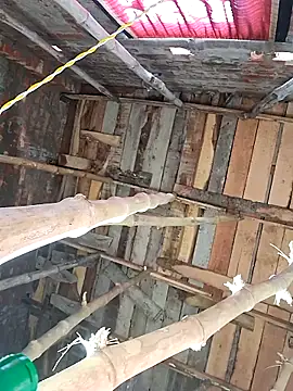 Snapshot of HotSexyBoudi chatting on February 16, 2026, 8:21 am HotSexyBoudi online show from February 16, 2026, 8:21 am