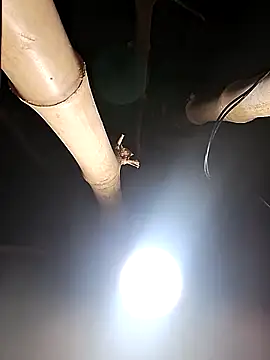 Snapshot of HotSexyBoudi chatting on February 26, 2026, 8:24 am HotSexyBoudi online show from February 26, 2026, 8:24 am