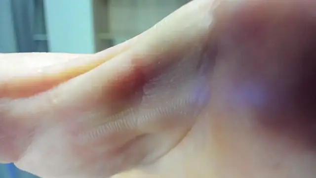 Alex Madrid online show from February 3, 2025, 3:38 pm