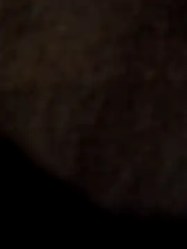 ySqmbVanbe online show from April 11, 2026, 12:48 am