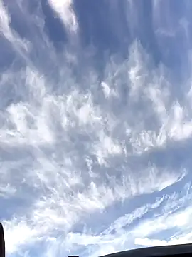 FloppyPickle4u online show from January 19, 2026, 4:11 pm