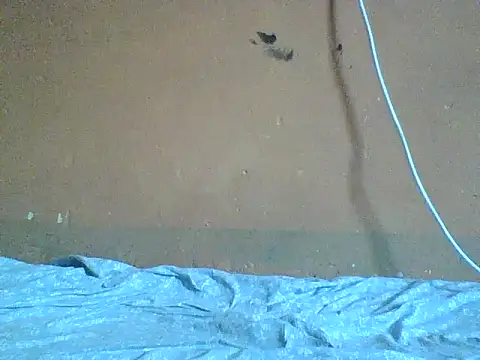 Naivegirrl online show from February 8, 2026, 9:45 am