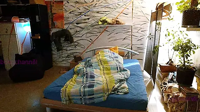 Snapshot of BongChannel chatting on December 31, 2024, 10:58 am BongChannel online show from December 31, 2024, 10:58 am