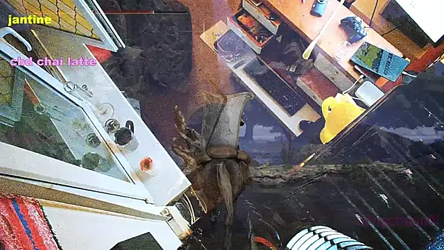 Snapshot of BongChannel chatting on March 9, 2025, 3:54 am BongChannel online show from March 9, 2025, 3:54 am