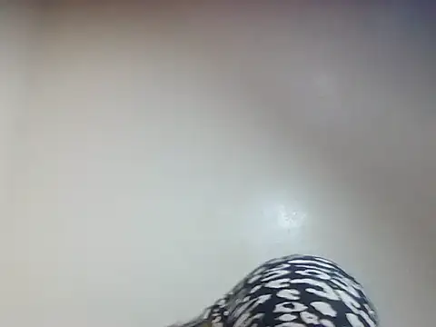 Creamy candy17 online show from October 3, 2025, 1:41 pm