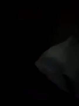 tessafontana37 online show from January 3, 2025, 2:32 am