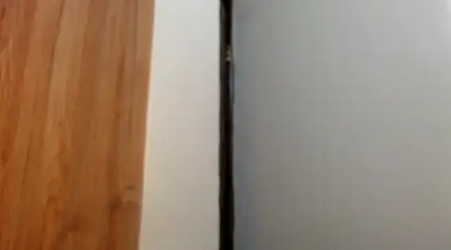 Snapshot of wetpussy_ebony chatting on February 11, 2025, 6:19 am wetpussy ebony online show from February 11, 2025, 6:19 am