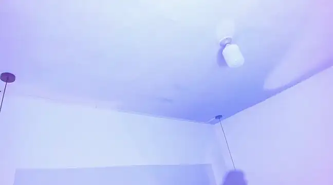 Emily Gil1 online show from March 19, 2025, 8:00 pm