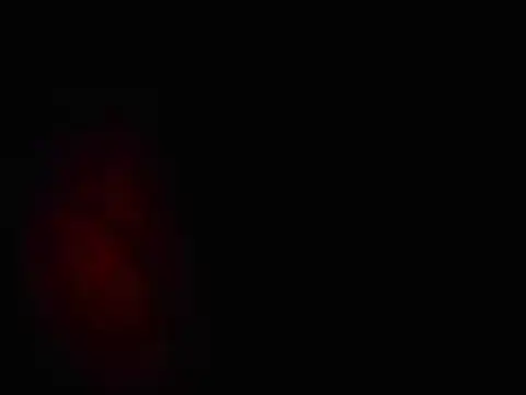 Snapshot of L0cKyseven77 chatting on February 1, 2025, 10:48 am L0cKyseven77 online show from February 1, 2025, 10:48 am