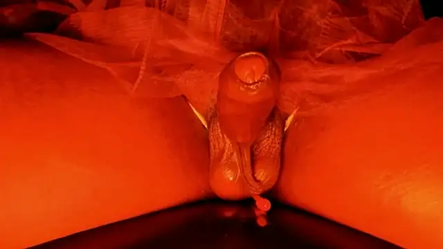 Open2Offers online show from February 25, 2026, 7:40 am