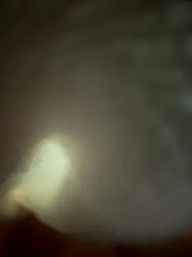 eveangelll online show from November 4, 2025, 4:55 am