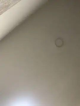 Snapshot of Zarah_Blare chatting on January 14, 2025, 11:27 pm Zarah Blare online show from January 14, 2025, 11:27 pm