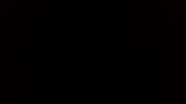 SexWorkerX online show from November 29, 2025, 12:19 pm