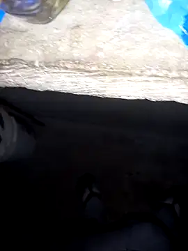 pujarteag online show from April 8, 2026, 5:51 am