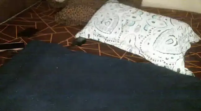 Sweetie pussy online show from March 18, 2025, 1:09 pm