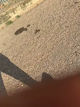 Black-mamba-madingo online show from September 30, 2025, 3:39 pm