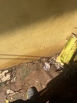 Black-mamba-madingo online show from October 10, 2025, 2:16 pm