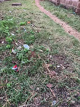 Black-mamba-madingo online show from October 29, 2025, 5:14 pm