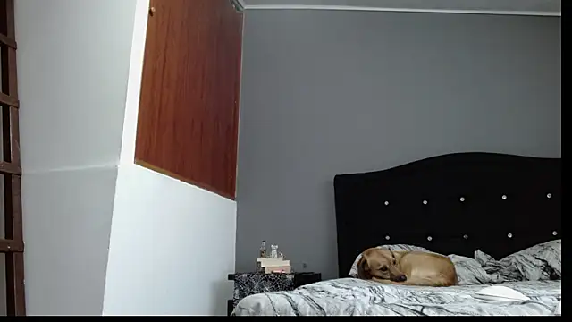 Emilia 1995 online show from January 30, 2025, 10:41 pm