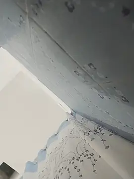 nicedick bro online show from April 2, 2026, 7:39 am