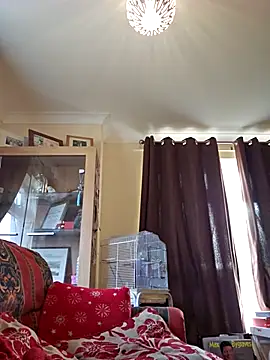 meateater1 online show from November 20, 2025, 10:48 am