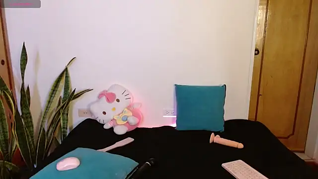 kittycatw online show from December 17, 2025, 9:21 pm