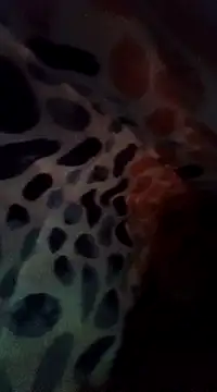 Snapshot of Xoc8_ chatting on December 8, 2024, 8:47 pm Xoc8  online show from December 8, 2024, 8:47 pm