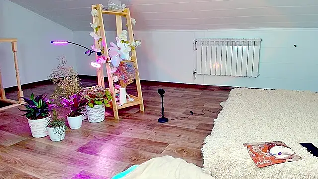 Snapshot of Meowroslava chatting on November 7, 2025, 9:31 am Meowroslava online show from November 7, 2025, 9:31 am