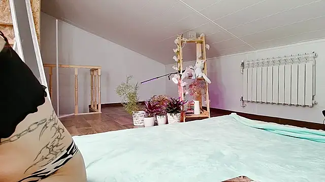 Meowroslava online show from November 19, 2025, 10:04 am