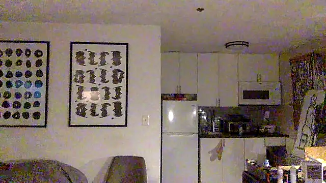 TheOnlyTwinTowers online show from April 13, 2026, 4:51 am