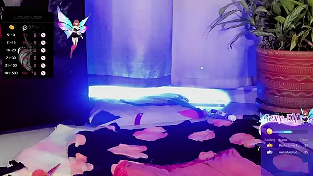 Zakura hot1 online show from December 31, 2024, 8:04 am