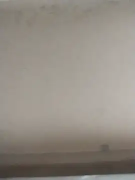 tatoocba88 online show from November 28, 2025, 6:43 pm