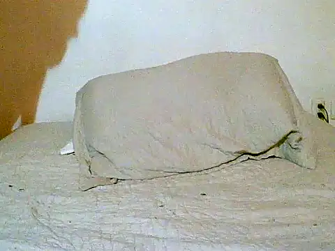 pollarikaaa online show from December 14, 2025, 12:05 am