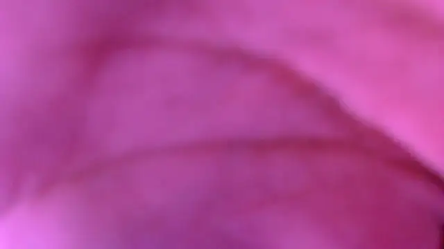 xxxxxchiaratsxxxxx online show from March 8, 2026, 2:04 am