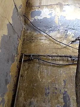 ListedLoin online show from February 13, 2026, 8:32 am