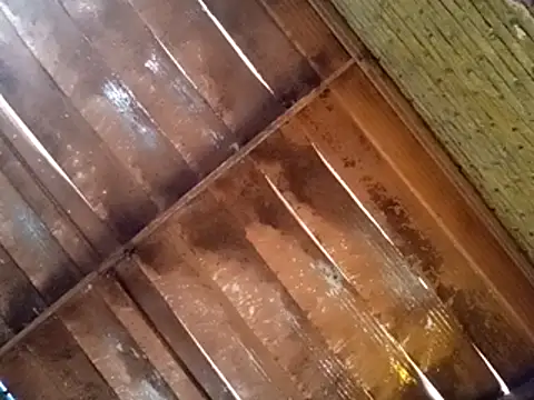 Pablunt-rap online show from November 14, 2025, 2:16 pm