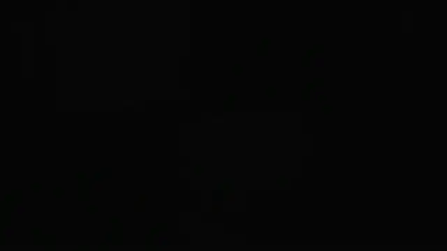 guy master online show from December 7, 2024, 2:09 am