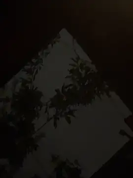 holyeroticss online show from September 25, 2025, 1:31 am